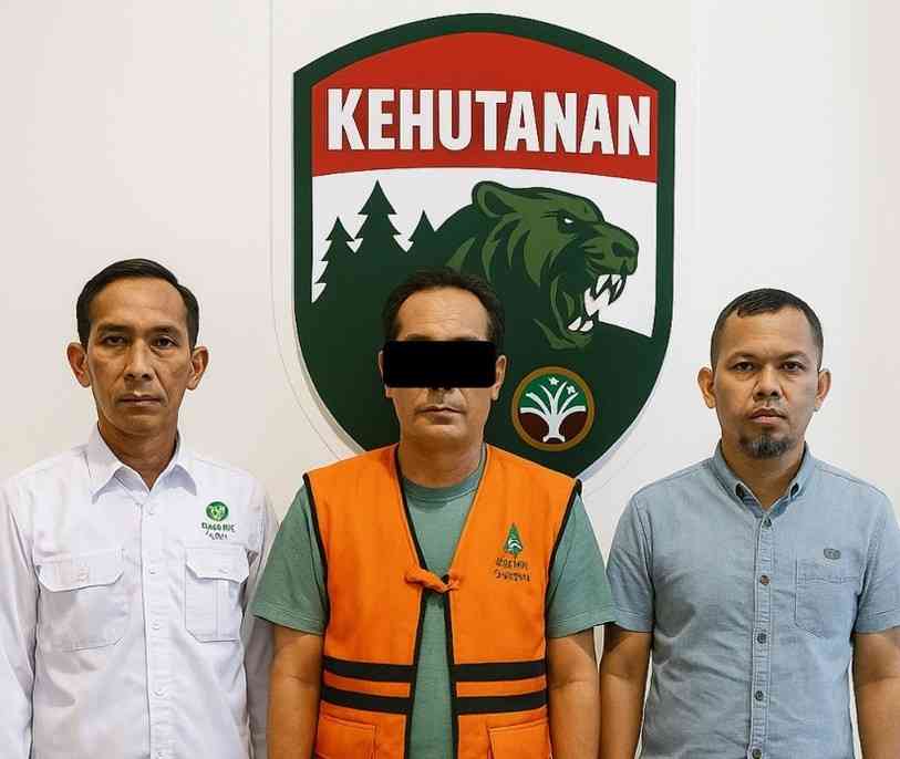 Gakkum Kehutanan GAKKUM KEHUTANAN SERET SINDIKAT PERDAGANGAN SISIK TRENGGILING TRANSNASIONAL KE MEJA HIJAU