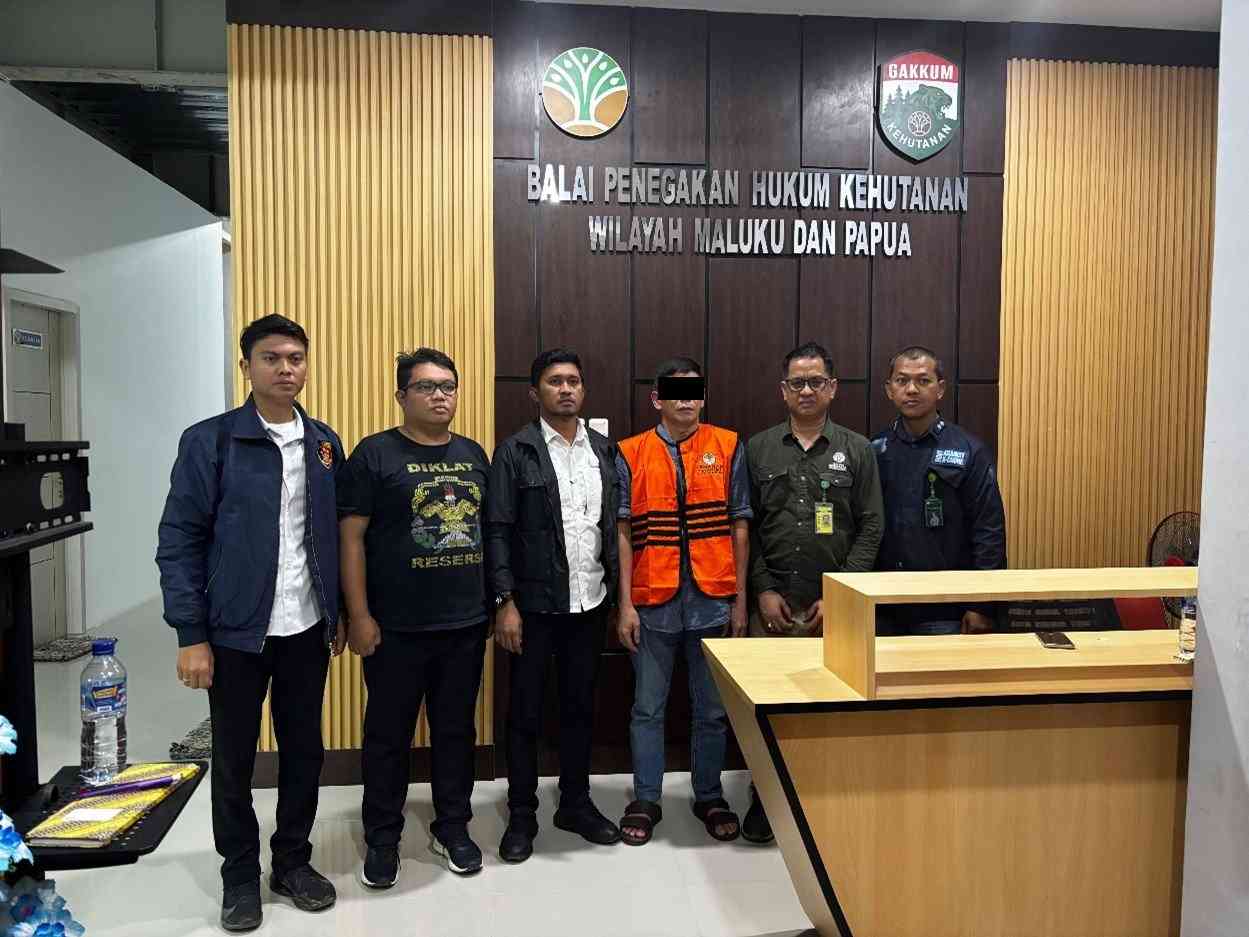 Gakkum Kehutanan GUGATAN PRAPERADILAN DITOLAK, GAKKUM KEHUTANAN TAHAN TERSANGKA KASUS PENGANGKUTAN KAYU ILEGAL DI SORONG