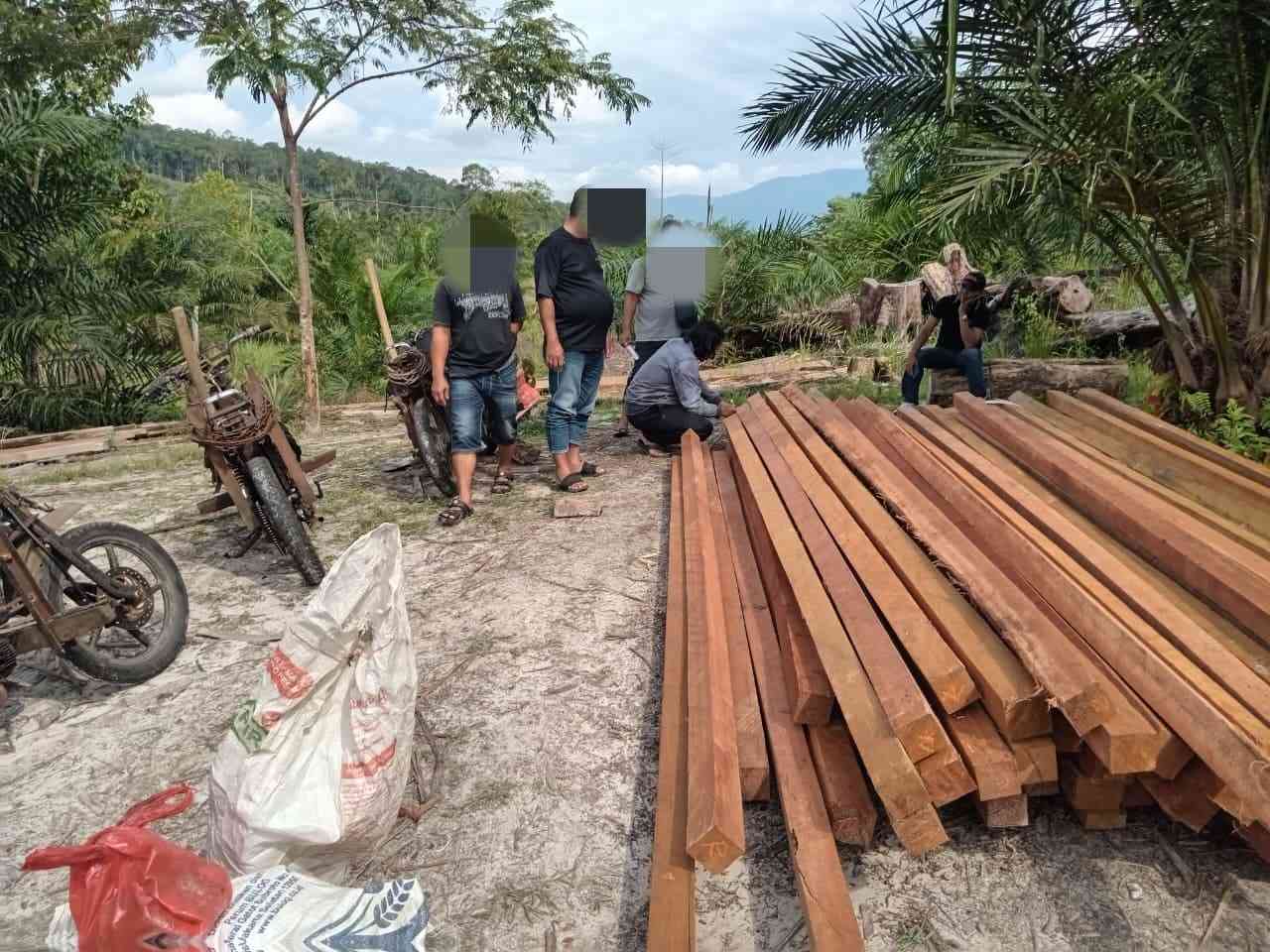 Gakkum Kehutanan GAKKUM KEHUTANAN AMANKAN 7 ORANG PELAKU PEMBALAKAN LIAR DAN RATUSAN KAYU OLAHAN DI TWA DUNGAN KALBAR