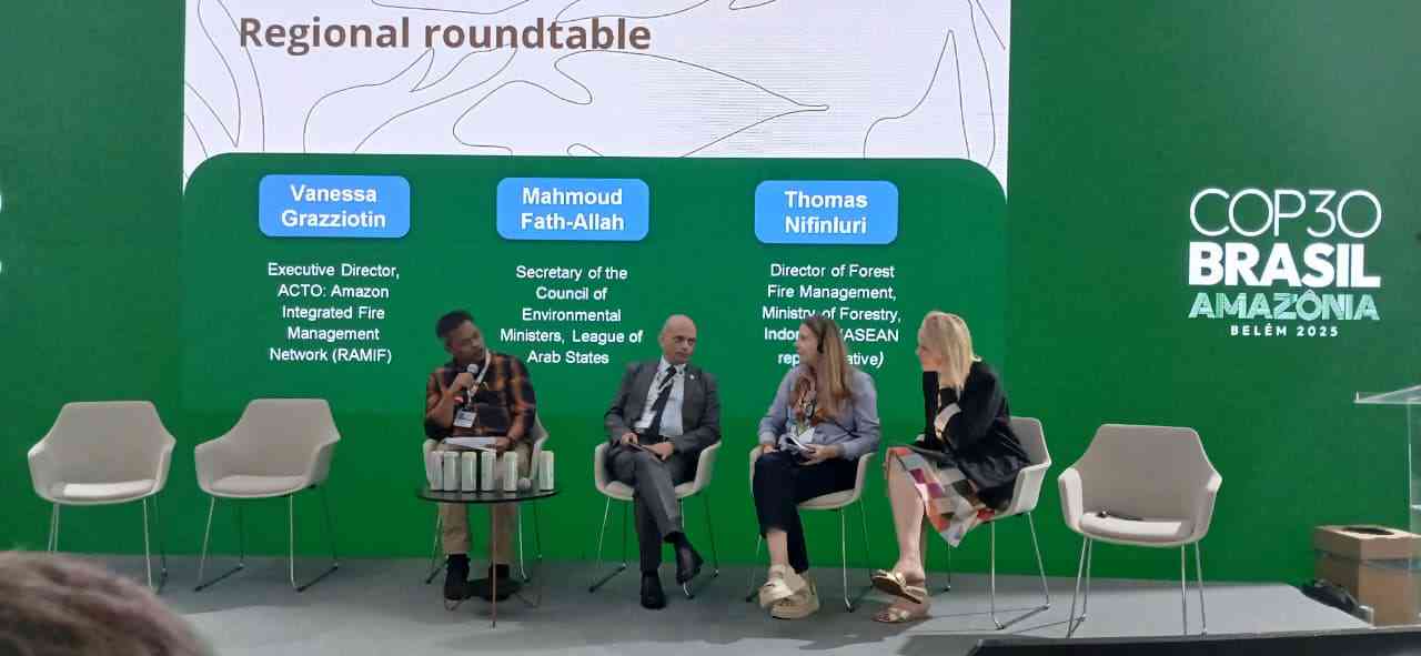 Gakkum Kehutanan PENGALAMAN INDONESIA DALAM PENGENDALIAN KEBAKARAN HUTAN PADA COP 30 UNFCCC BELEM-BRAZIL