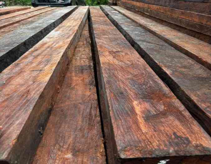 Gakkum Kehutanan BONGKAR SINDIKAT KAYU ILEGAL, GAKKUM AMANKAN RIBUAN KEPING KAYU MERBAU DAN EMPAT KONTAINER MILIK CV AIJ