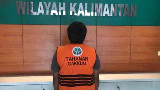 Gakkum Kehutanan GAKKUM KEHUTANAN AMANKAN TERSANGKA PENGANGKUTAN RATUSAN KAYU ULIN ILEGAL