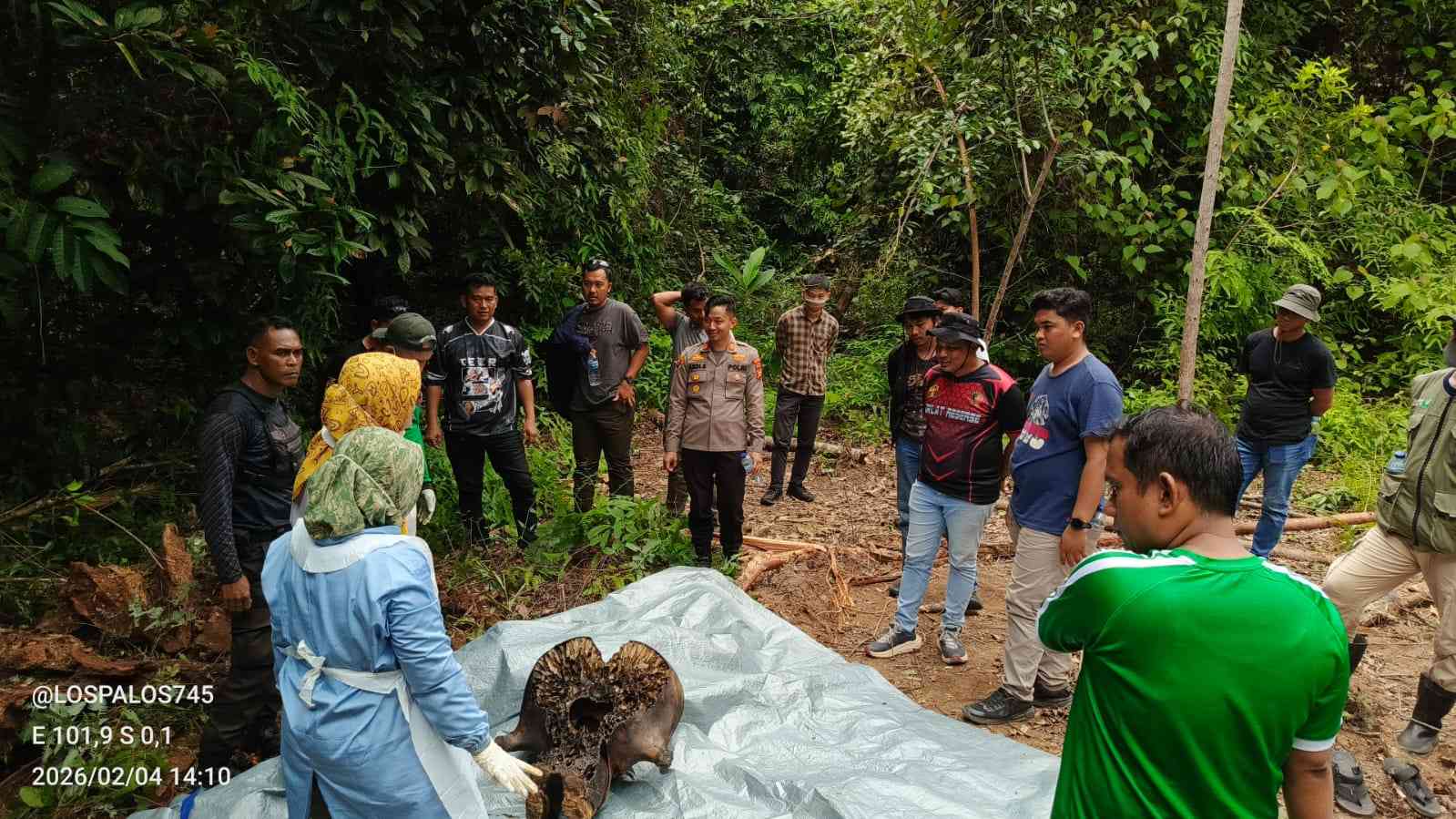 Gakkum Kehutanan GAKKUM KEHUTANAN DALAMI KEMATIAN GAJAH DI PT RAPP, MANAJEMEN AKAN DIMINTAI KETERANGAN