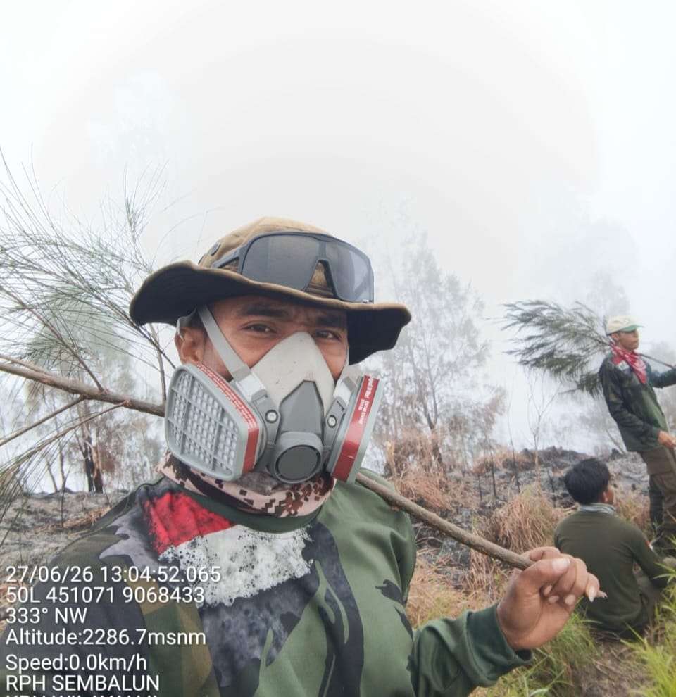 Gakkum Kehutanan