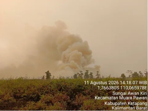 Gakkum Kehutanan