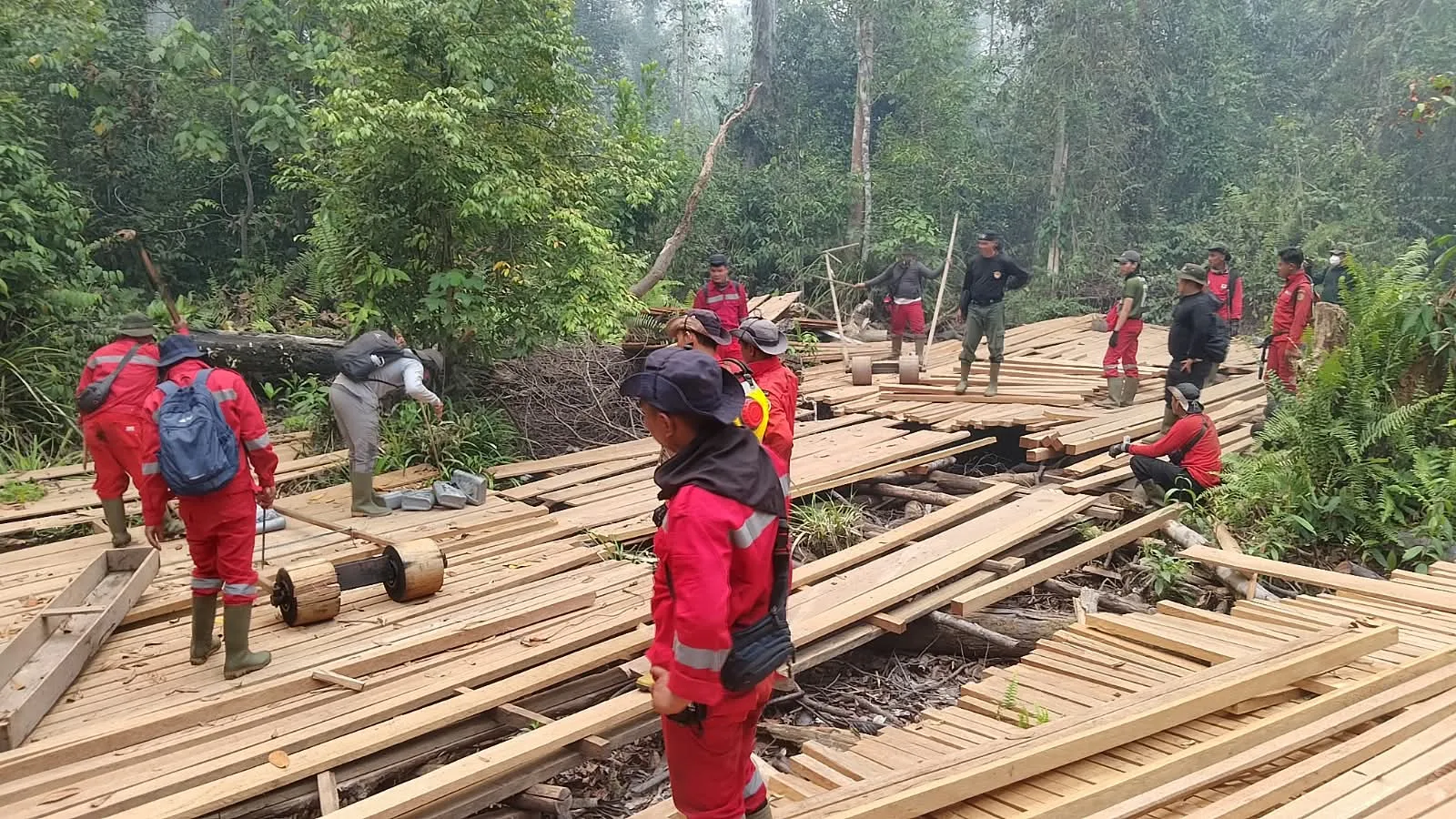 Kemenhut Musnahkan 316 Batang Kayu Temuan Dan Rel Kayu Sepanjang 1 Kilometer Di Kawasan Tn Berbak Dan Sembilang
