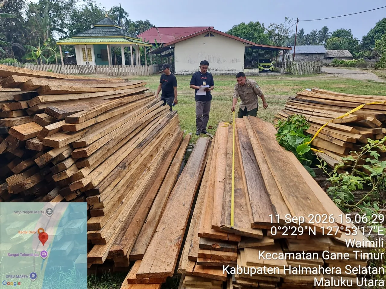 Kemenhut Ungkap Illegal Logging Di Halmahera Selatan, 790 Kayu Gergajian Disita, Dua Orang Ditetapkan Sebagai Tersangka
