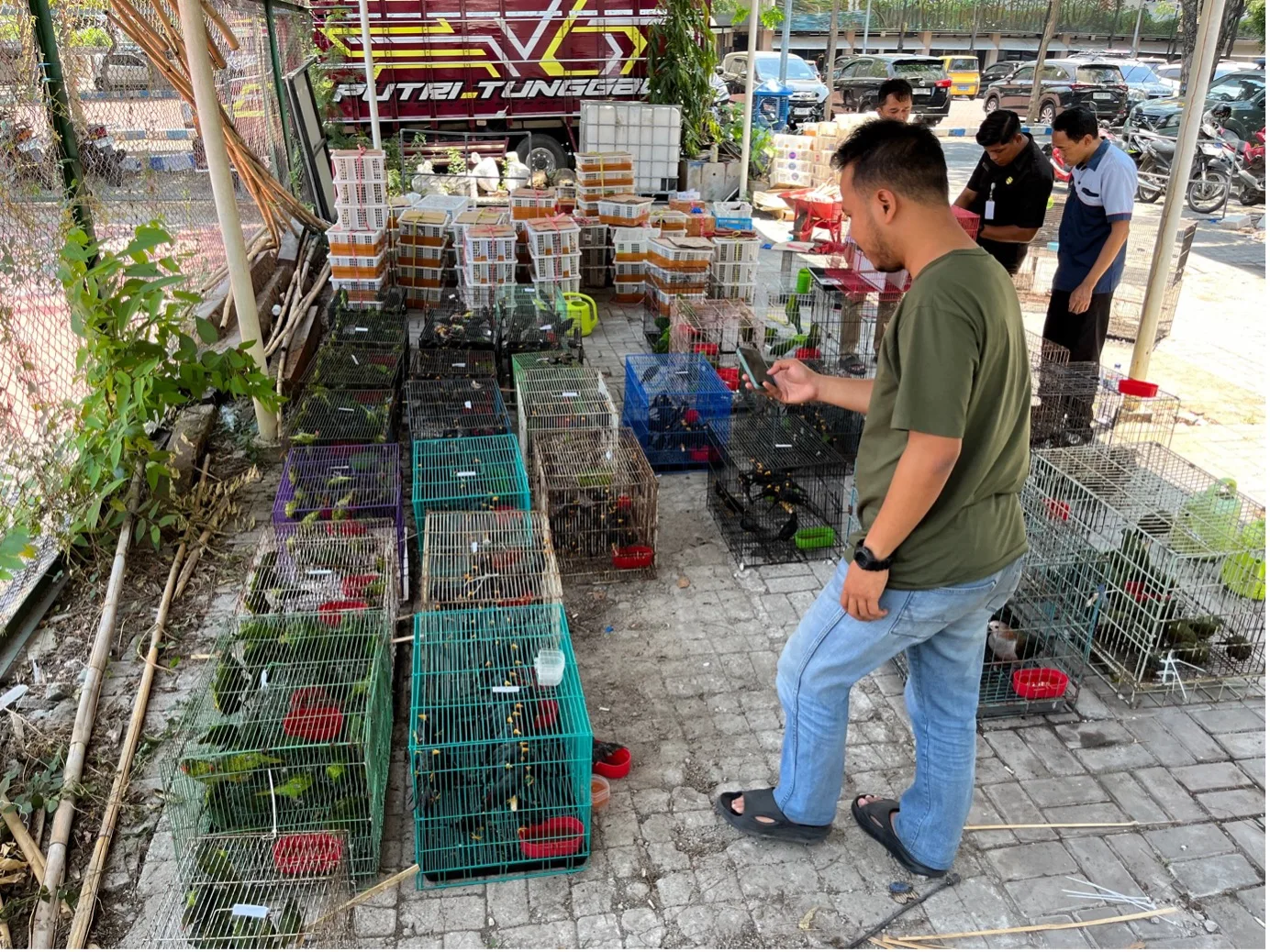 Kemenhut Lepasliarkan Satwa Hasil Operasi Penindakan Kasus Perdagangan Ilegal 3.578 Burung
