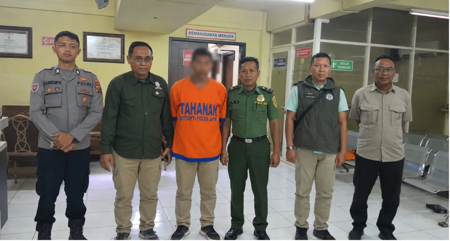 Kementerian Kehutanan Tetapkan Tersangka Peredaran Kayu Jati Ilegal Di Lamongan, Penyidikan Dikembangkan Untuk Telusuri Pihak Lain