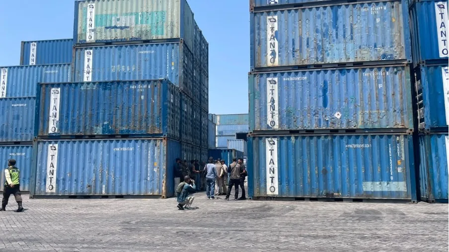 Gakkum Kehutanan Amankan 23 Kontainer Kayu Di Surabaya, Dalami Dugaan Pencucian Kayu Dari Nabire